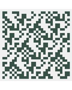 Simple Product 205